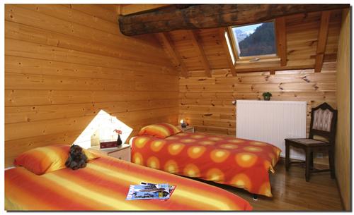 Chalet les Copains Rhône-Alpes - Les 2-Alpes visuel 1/20