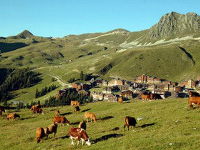Camping - Belle Plagne - Rhône-Alpes - Résidence Améthyste - Image #8