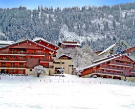 Les Gentianes A-B-C - Châtel