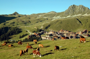 Camping - La Plagne - Rhône-Alpes - Résidence Thémis - Image #0